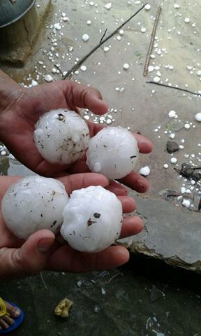 Hail at Punjab